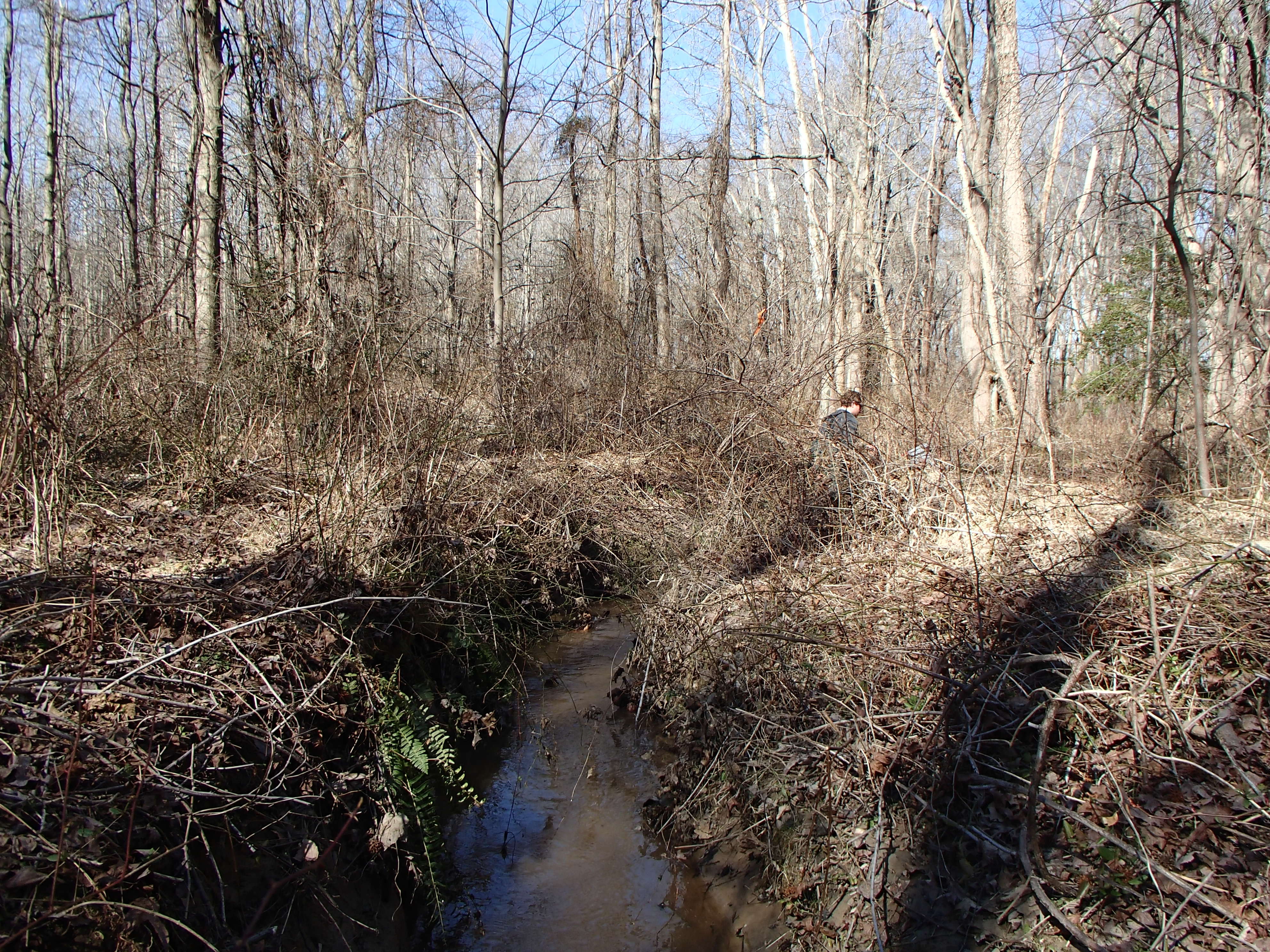 Field photo showing stream conditions at site WEST-105-X-2016_midpoint looking upstream